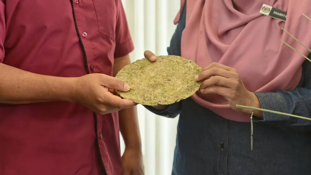 Pinggan pakai buang yang diperbuat daripada daun serai ditunjukkan secara dekat.