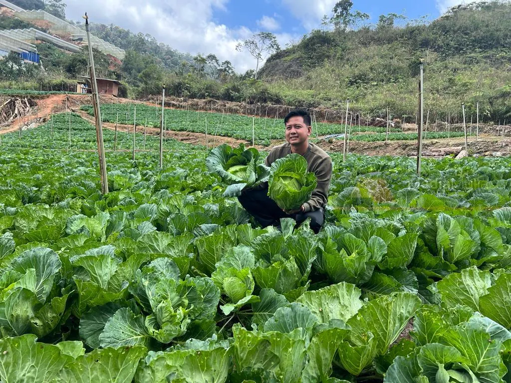 Chia Khang Lojing – Usahawan Tani Jana RM400,000 Sebulan Tanam Sayur