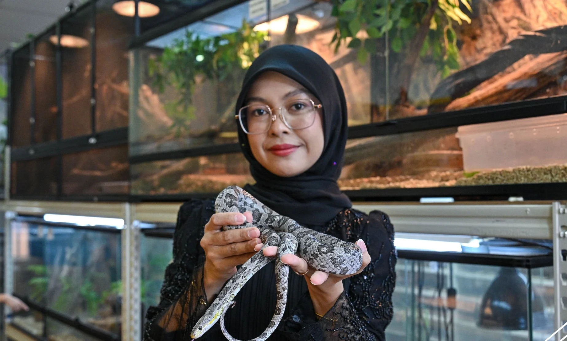 Seorang wanita memakai cermin mata dan hijab hitam memegang seekor ular berwarna kelabu bercorak di hadapan kandang reptilia.