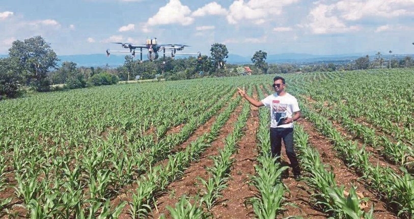 Ramana K Naidu mengendalikan dron pertanian di ladang jagung bijirin seluas 60 hektar di Kedah