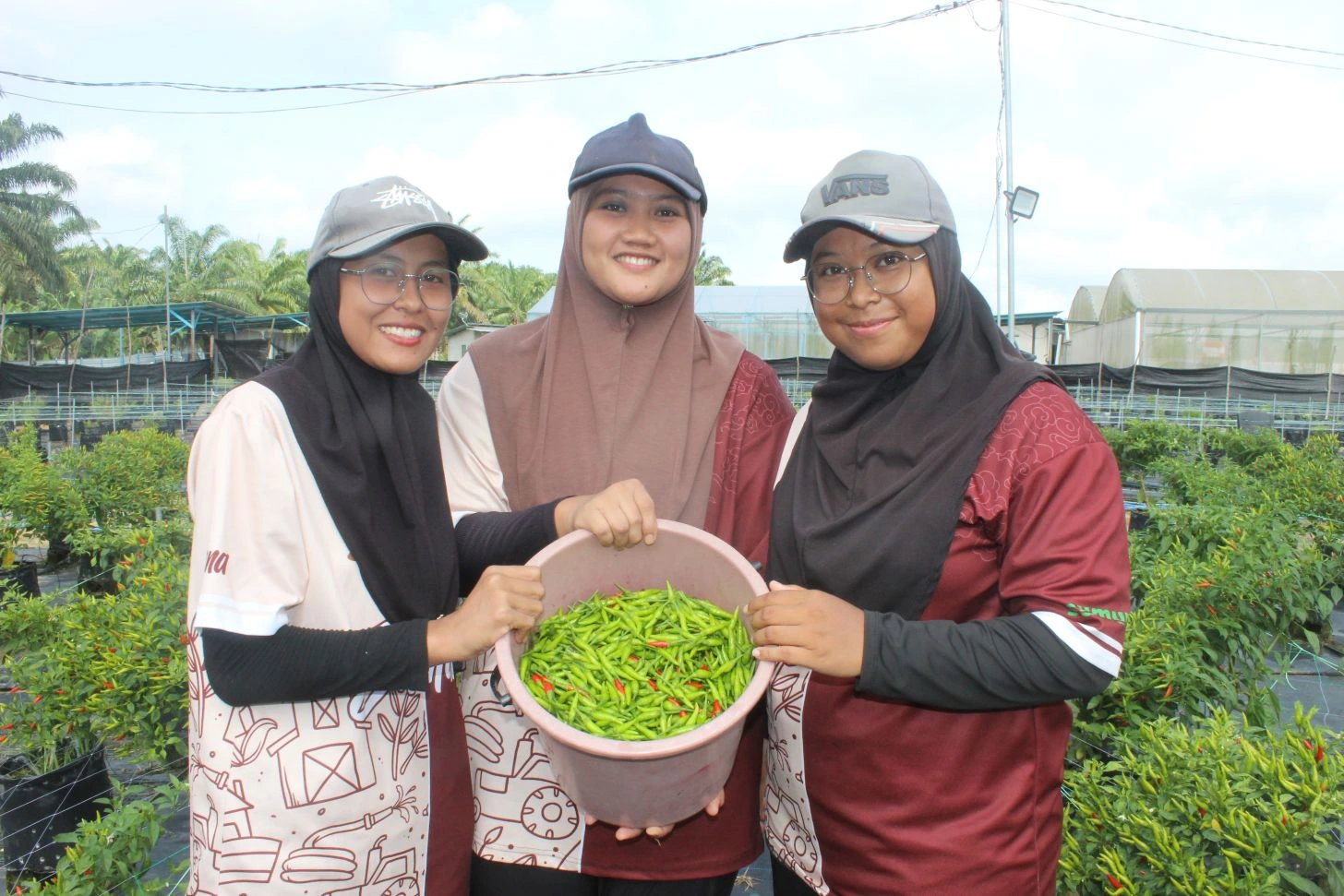 Tiga sahabat generasi Z menunjukkan hasil tuaian cili di kebun sayur moden di kampung